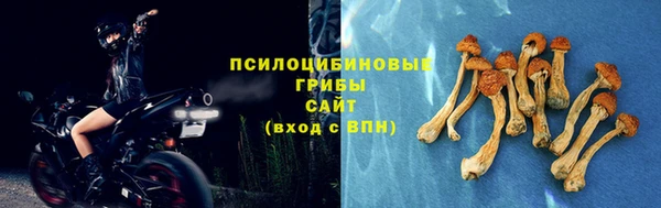 кокс Нягань