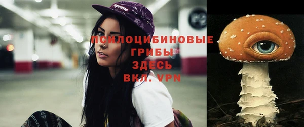 герыч Няндома