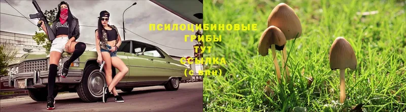 МЕГА ССЫЛКА  Ивдель  Псилоцибиновые грибы ЛСД  наркотики 