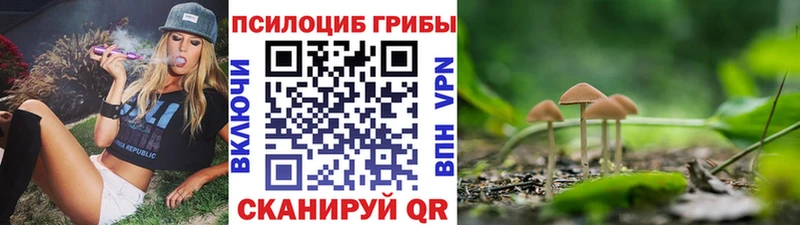 это какой сайт  Ивдель  Псилоцибиновые грибы мухоморы  даркнет сайт 